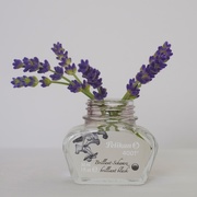 2nd Jun 2020 - Lavender