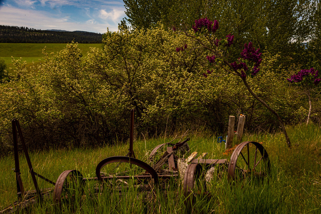 Country Scene by 365karly1