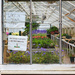 No dogs allowed in the greenhouse. by batfish