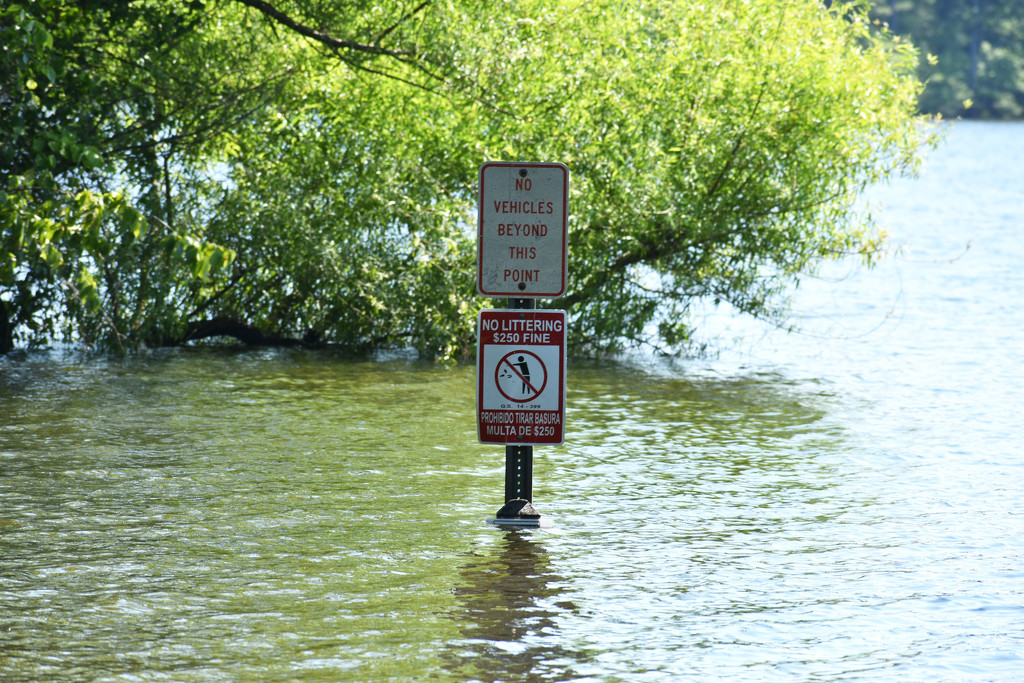 Do not drive in high water! by homeschoolmom