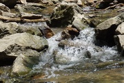 3rd Jun 2020 - Cool water on a hot day