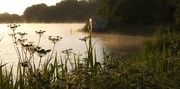 3rd Jun 2020 - Morning mist on the lake