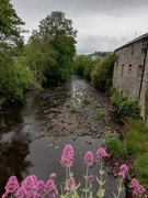 3rd Jun 2020 - Day 79 The River Tavy is looking very low here. 
