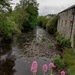 Day 79 The River Tavy is looking very low here.  by jennymdennis