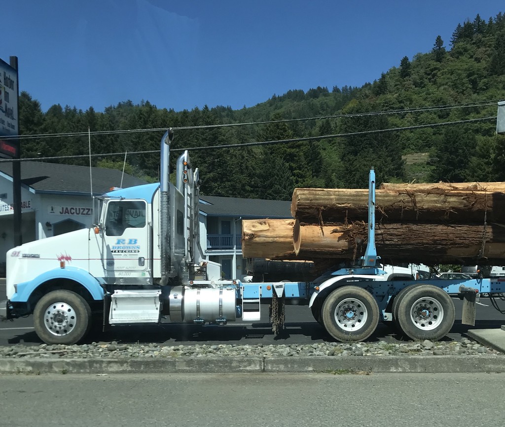 Log truck by pandorasecho