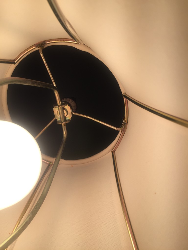 Lampshade with bulb by mcsiegle