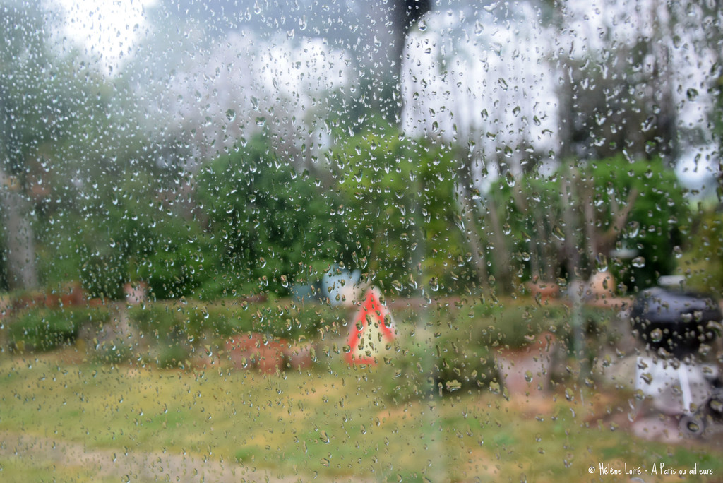 Rain. finally. by parisouailleurs