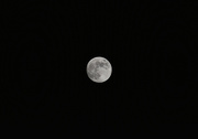 4th Jun 2020 - Moon over my house!