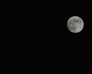 4th Jun 2020 - Almost full moona