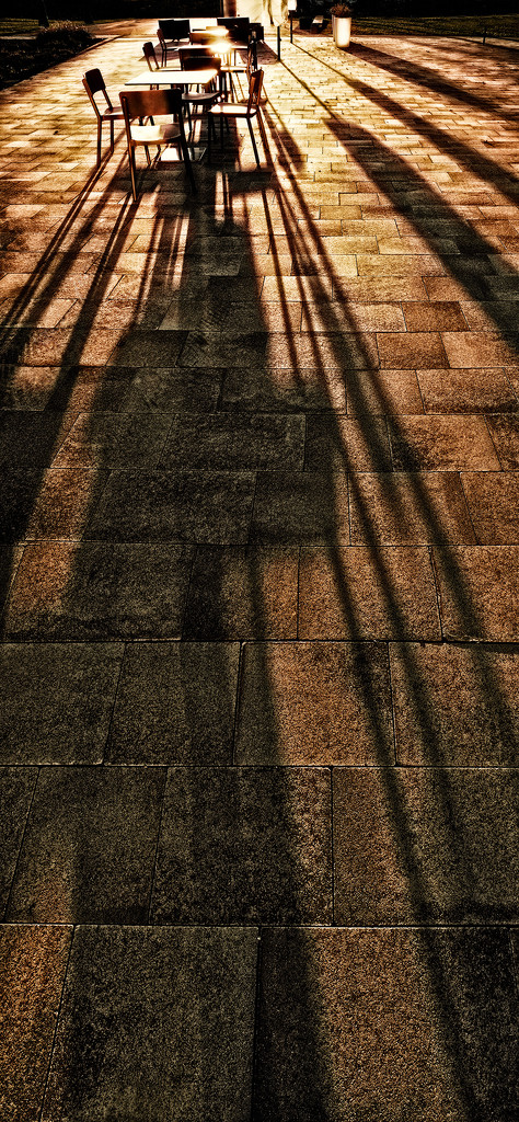 long shadows by jerome