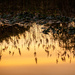 lake reflections by jackies365