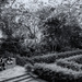 Laribal Garden by jborrases