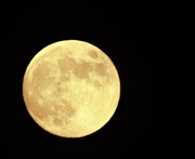 5th Jun 2020 - Strawberry Full Moon 