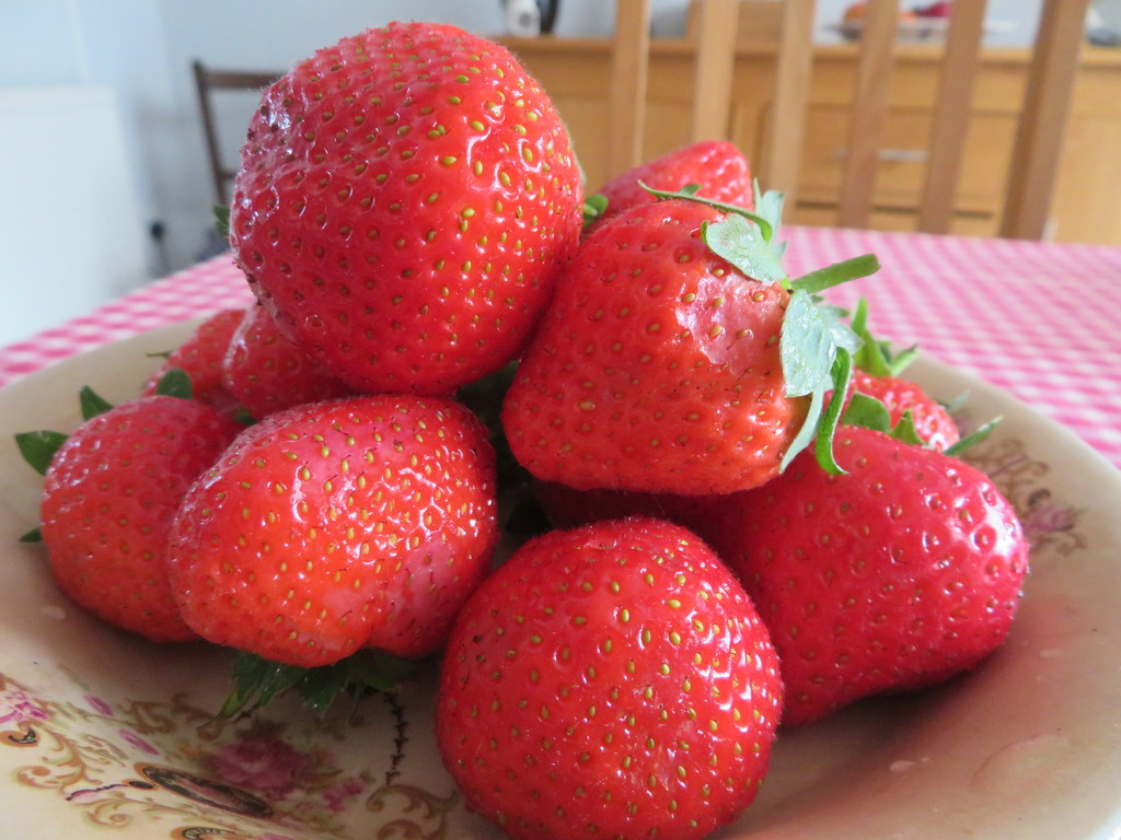Strawberries by lellie