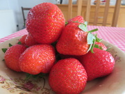 2nd Jun 2020 - Strawberries