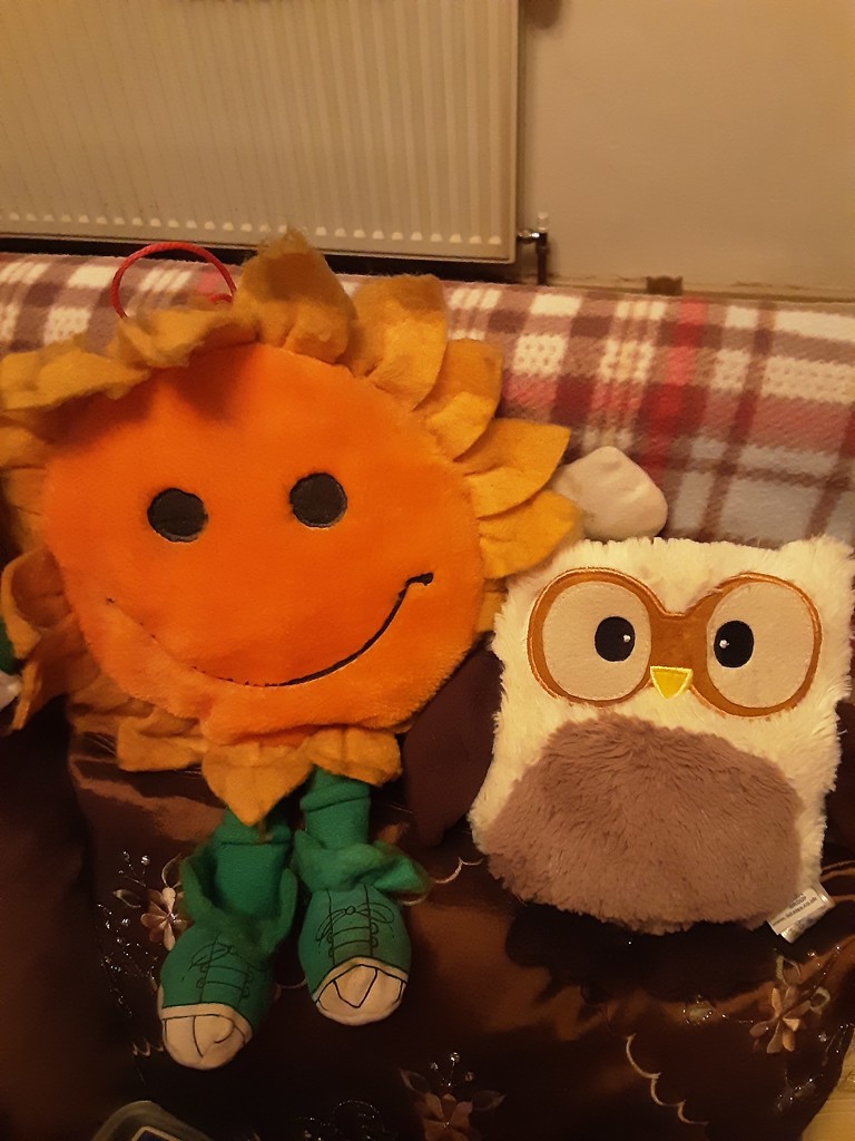 Sunflower and Owl. by grace55