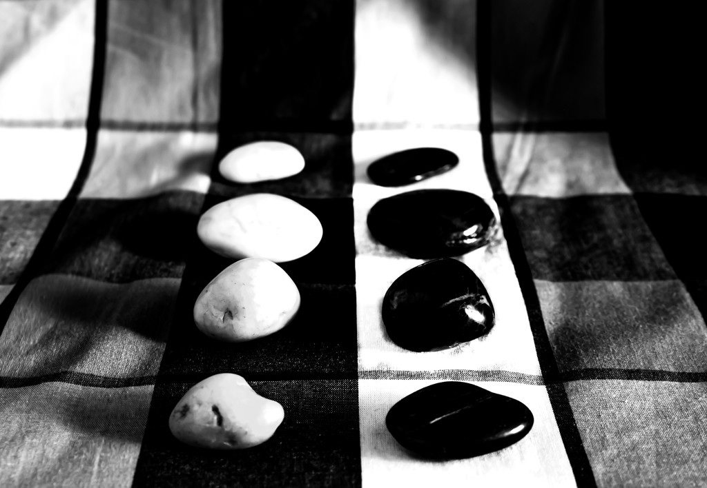 (Day 112) - Checks & Stones by cjphoto