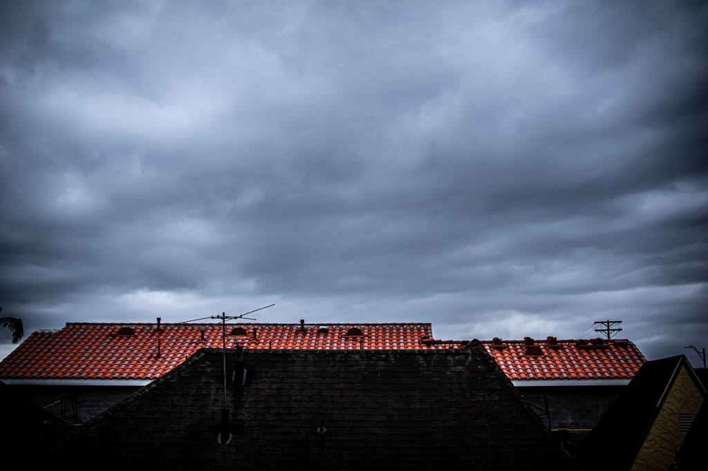 (Day 113) - Gloom by cjphoto