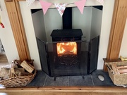 6th Jun 2020 - We needed a fire today!