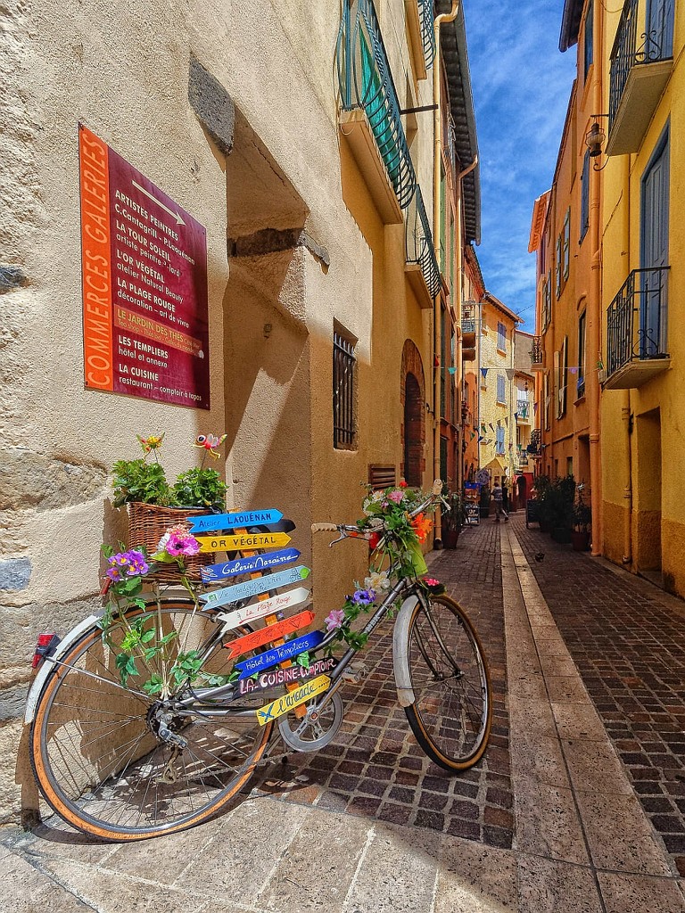 Le vélocipède fleuri (Collioure signpost) by laroque