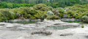 2nd Jun 2020 - Rotorua geothermal mud pools 
