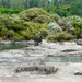Rotorua geothermal mud pools  by sjc88
