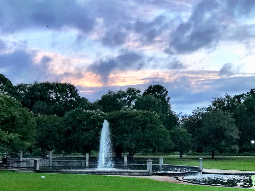 Hampton Park sunset by congaree