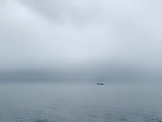 8th Jun 2020 - Boat in the fog. 