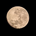 This mornings full moon by ludwigsdiana