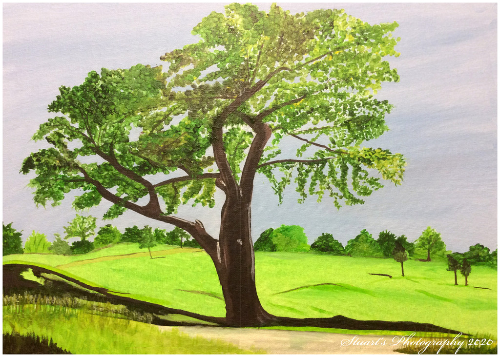 The fairway (painting) by stuart46