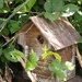 African Tree Bee House 🐝 by 30pics4jackiesdiamond