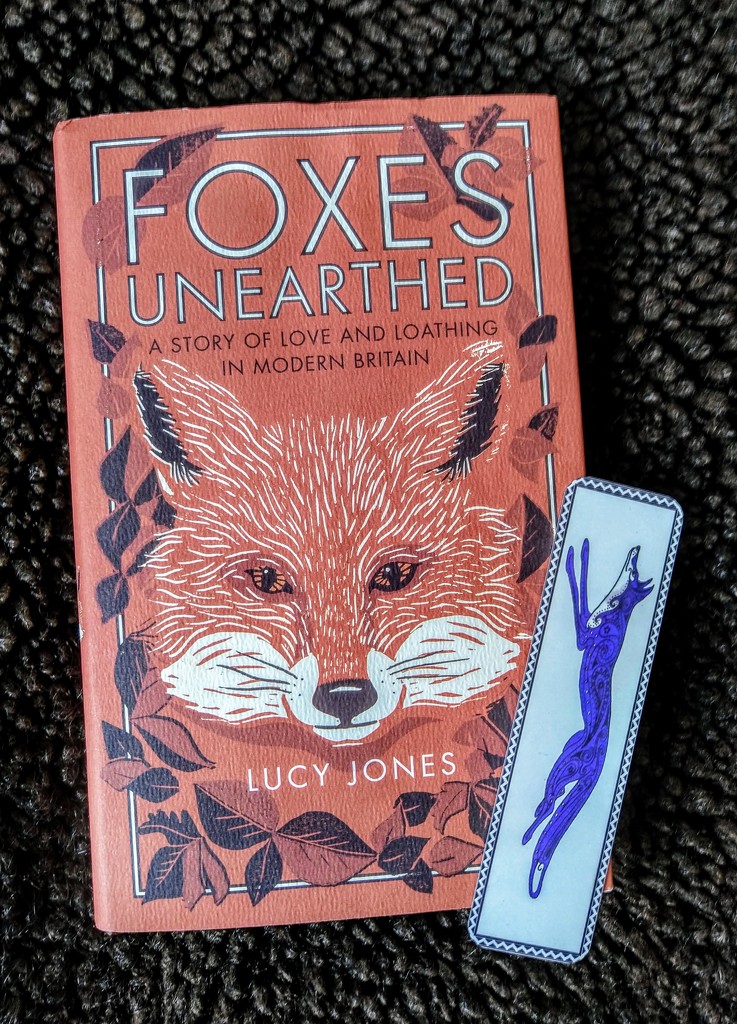 Foxes Unearthed by boxplayer