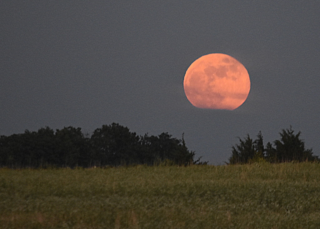 Strawberry Moon Just Clearing the Clouds by genealogygenie