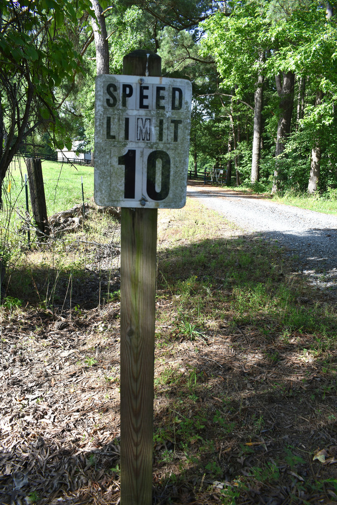 Speed limit 10 on club roads by homeschoolmom