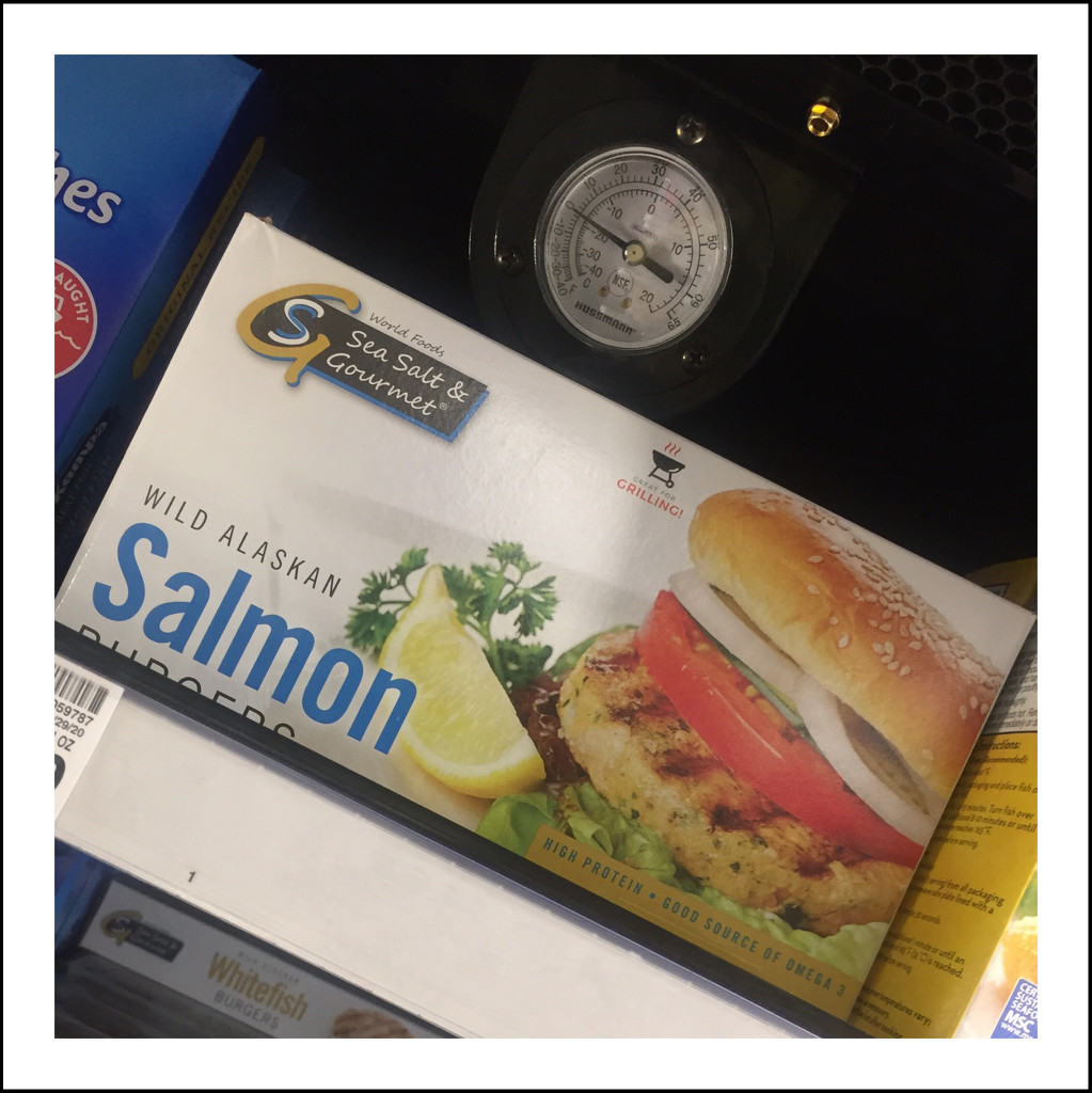 Wild Alaskan Salmon by mcsiegle