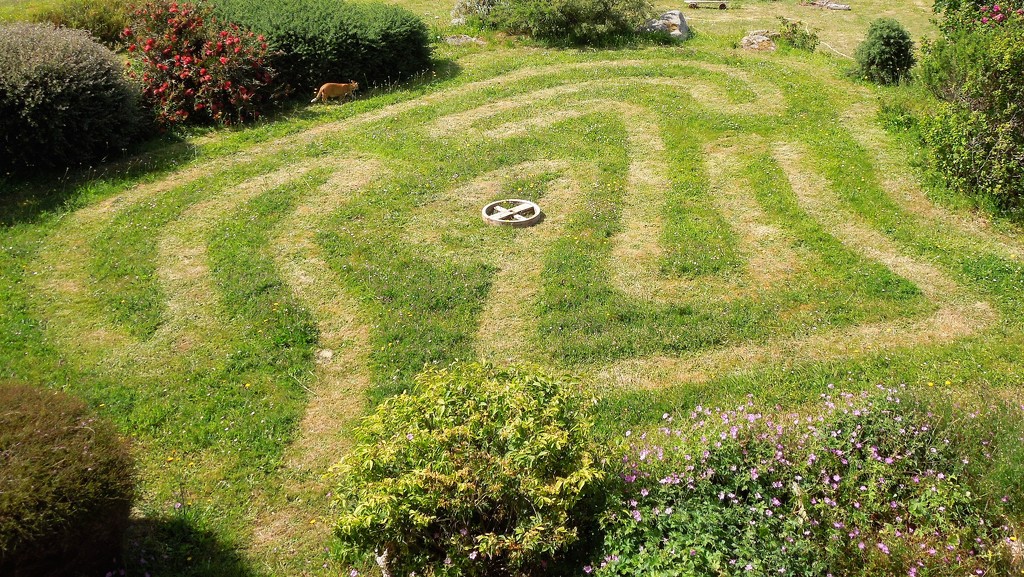 My labyrinth garden by etienne