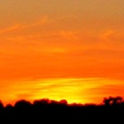2nd Jun 2020 - orange sunset