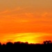 orange sunset by filsie65