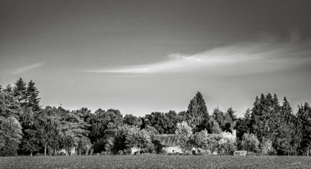 The cottage across the field to the south of us... by vignouse