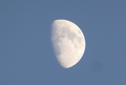 31st May 2020 - Moon view