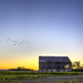 Abandoned Barns of Ontario by pdulis