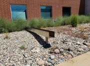 8th Jun 2020 - Featured water feature