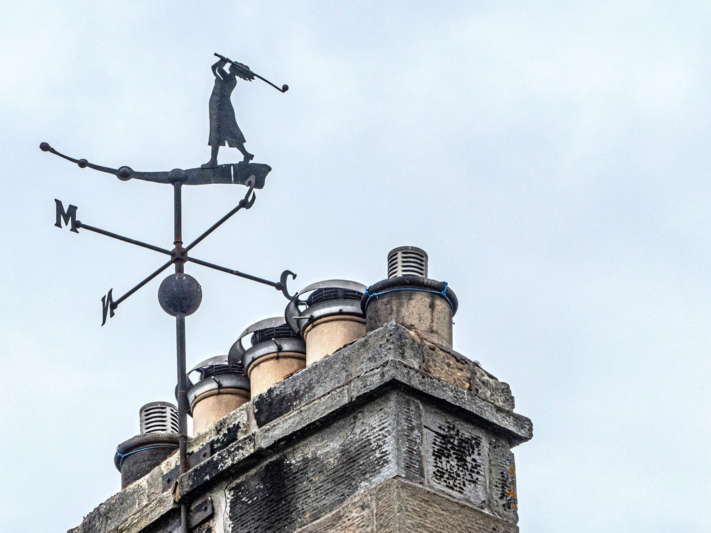 Weather Vane by frequentframes