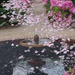 Confetti Fountain by thedarkroom