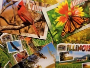 9th Jun 2020 - Going to try a little postcarding. 