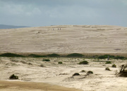 10th Jun 2020 - Dunes