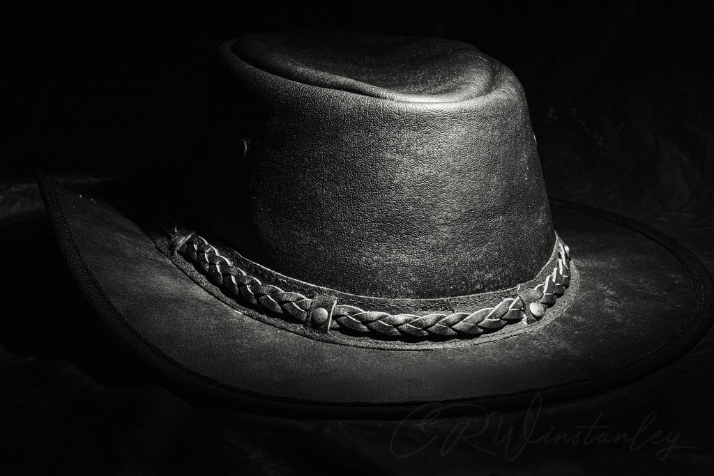 Leather Hat by kipper1951