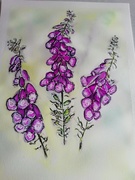 10th Jun 2020 - Day 86  A Painting of Foxgloves