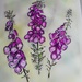 Day 86  A Painting of Foxgloves by jennymdennis