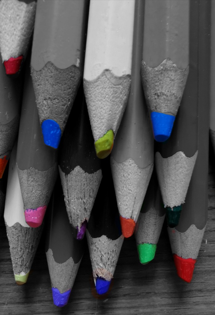 Crayons ~ Colour Splash  by plainjaneandnononsense